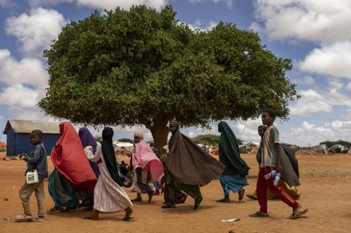 Des enfants sur le chemin de l'école près d'un camp de déplacés en Somalie qui subit une sécheresse prolongée, le 21 avril 2026 — SIMON MAINA / AFP