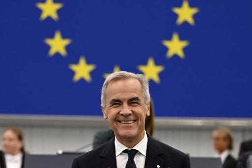 Bajo las estrellas