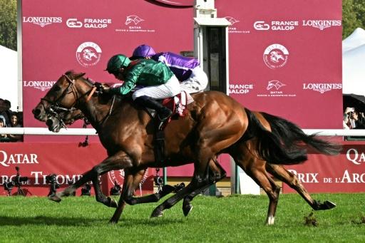 Impressive Daryz keeps Arc double dream alive