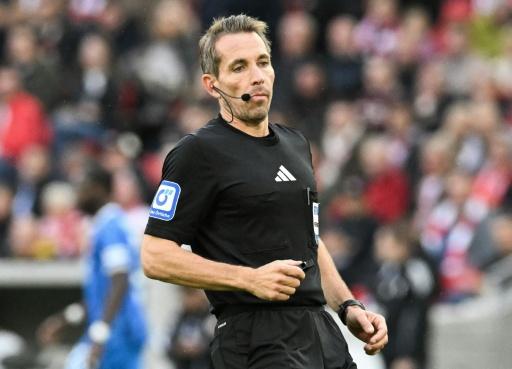 Schiedsrichter Stieler pfeift nicht mehr international