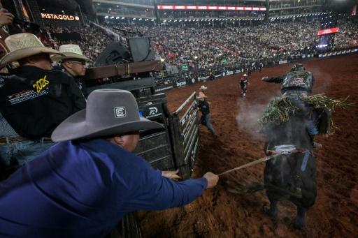 Un vaquero en plena faena durante la Festa do Peao de Barretos, a 430 km de Sao Paulo, Brasil, el 27 de agosto de 2026. — Nelson ALMEIDA / AFP