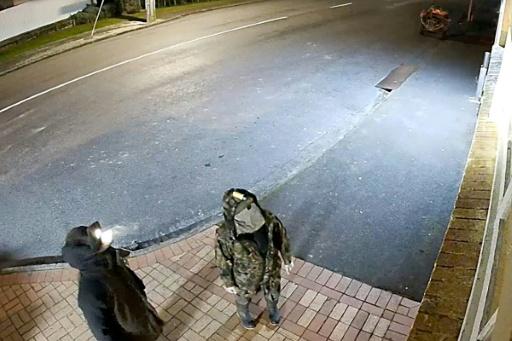 New Zealand agencies missed red flags in child kidnapping case: inquiry