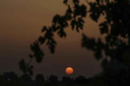 Harvesters have now come to terms with working at night in cooler temperatures that make the manual work more bearable — Patricia DE MELO MOREIRA / AFP