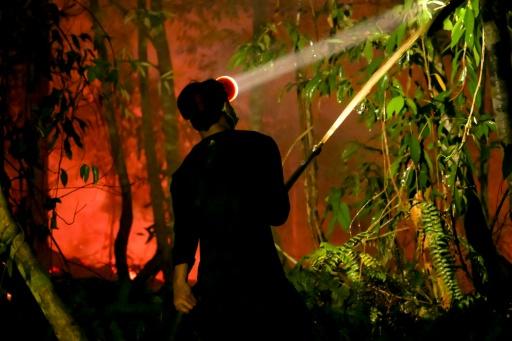 According to the Nusantara Atlas fire tracker, more than 285,000 hectares have burnt in Indonesia so far this year — BAY ISMOYO / AFP