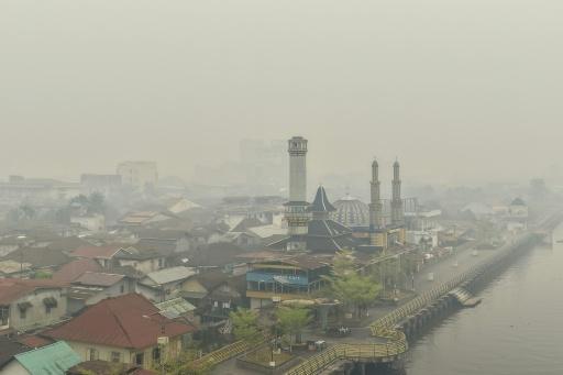 Scientific observations show the haze blanketing parts of West Kalimantan contains levels of toxic small particle pollution far exceeding the World Health Organization's recommended safe limit — BAY ISMOYO / AFP