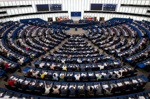 أعضاء البرلمان الأوروبي أثناء التصويت على مشروع "النباتات المستنبطة باستخدام بعض تقنيات الجينوم الجديدة واستخدامها في الأغذية والأعلاف" داخل مقر البرلمان الأوروبي في ستراسبورغ بشرق فرنسا، في 17 حزيران/يونيو 2026. — سباستيان بوزون