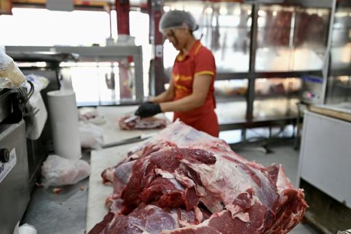Picanha, prato principal da direita para frear a reeleição de Lula