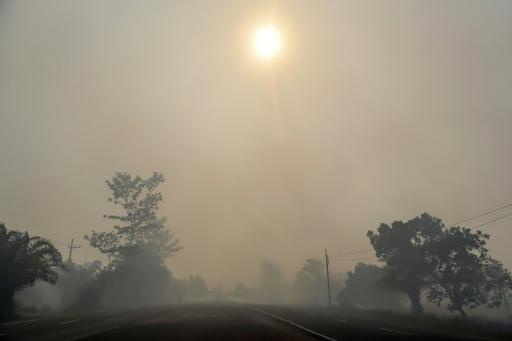 Incendies et canicules menacent la qualité de l'air et la santé (ONU)