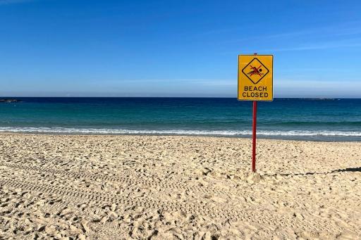 Surfer hospitalised after shark attack in Western Australia