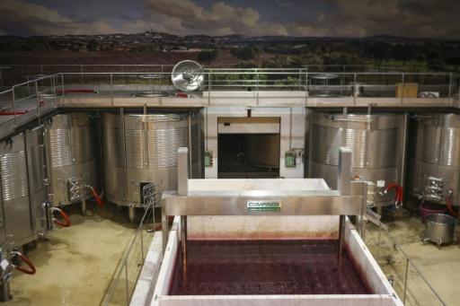 Les raisins sont traités au domaine viticole Herdade das Servas après des vendanges nocturnes à Estremoz, le 3 septembre 2026 — Patricia DE MELO MOREIRA / AFP