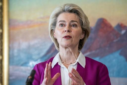 Von der Leyen reist nach Grönland