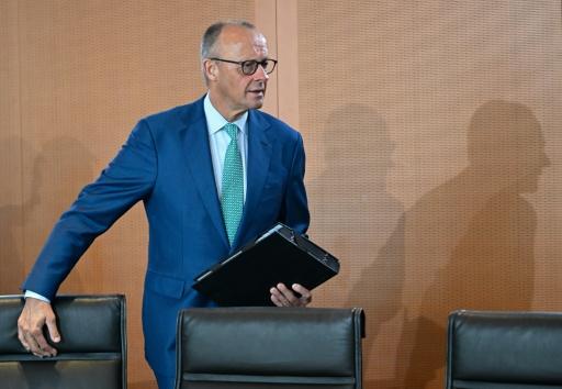 Merz: Regierung nimmt wegen hoher Spritpreise Steuern und Abgaben in den Blick