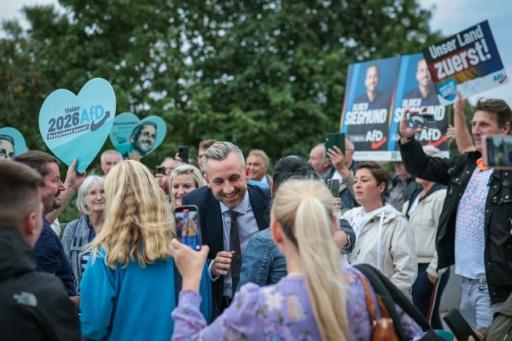 Smiling face of Germany's far-right AfD: Ulrich Siegmund