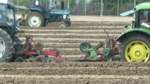 Old skills meet new technology at Ireland's ploughing championships