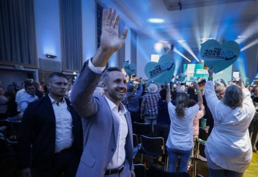L'extrême droite allemande en quête d'une victoire historique en Saxe-Anhalt