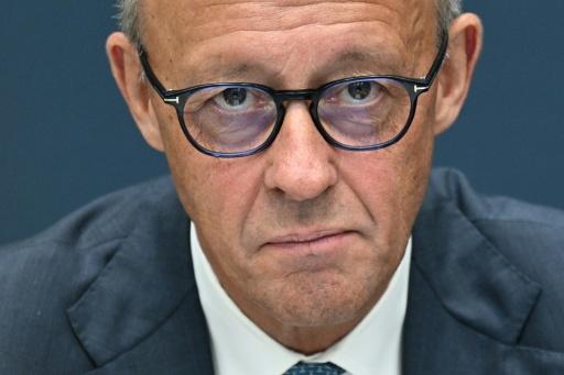 Merz warnt AfD vor Grundgesetzverstößen nach Regierungsübernahme