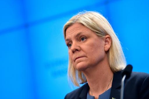 Sweden's Andersson: a trusted, no-nonsense political operator