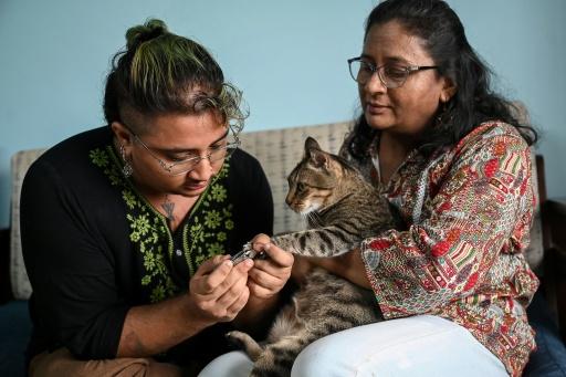 Meghna Kulkarni (à droite) aide son enfant transmasculin non binaire, Rit Kulkarni, à couper les griffes de leur chat après un entretien avec l’AFP à bombay en Inde, le 20 août 2026 — Punit PARANJPE / AFP
