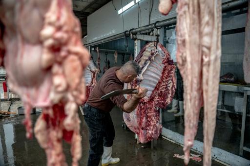 Condenado a 10 años de cárcel un carnicero iraquí por vender cerdo en ciudad santa