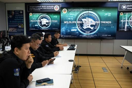 En la sede del Departamento de Parques Nacionales, Vida Silvestre y Flora (DNP), en Bangkok, el 29 de junio de 2026 — Lillian SUWANRUMPHA / AFP