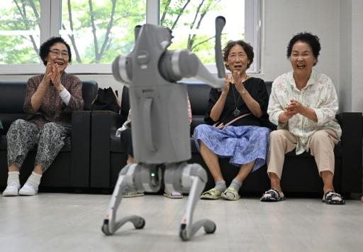 Elderly people playing with a robot dog during a government-organised digital survival training at a senior community centre in Suwon — Jung Yeon-je / AFP