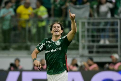 Palmeiras vence LDU (1-0) na ida das quartas da Libertadores