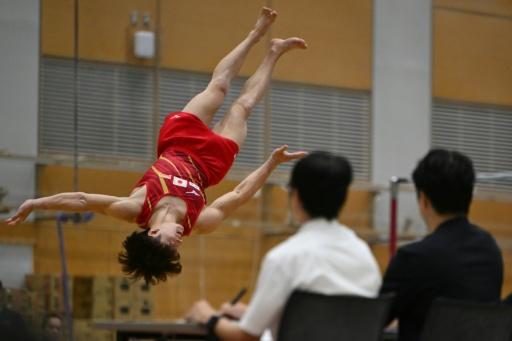 Japan gymnasts under injury cloud for home Asian Games