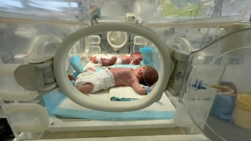 Bebês prematuros compartilham incubadora em hospital de Gaza