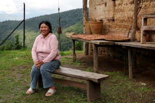Hazelnuts grow well at high altitudes and on mountainsides, require no ploughing and their roots — Niharika KULKARNI / AFP