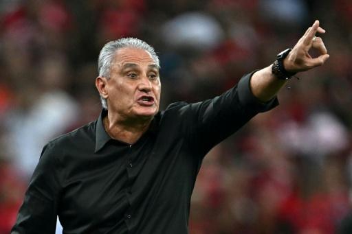 Botafogo anuncia Tite como novo técnico