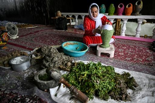 In Kashmir, lake weeds mix with traditional art