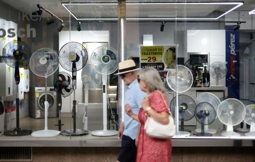 Scientists say that human activity -- primarily burning fossil fuels -- is heating the planet and fuelling extreme weather events — Thomas COEX / AFP
